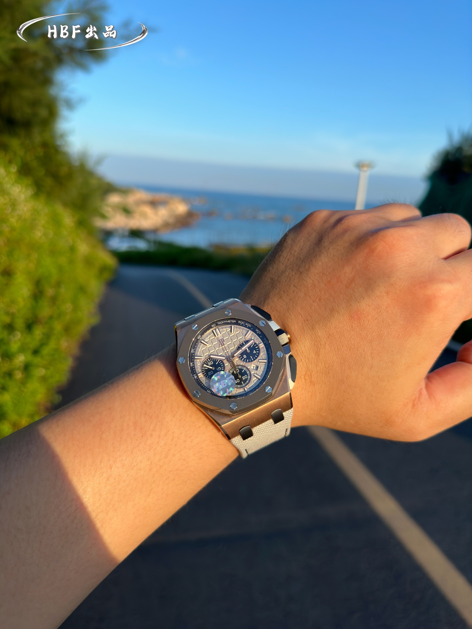 Audemars Piguet watch